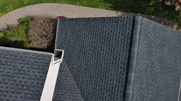 Best Asphalt Shingle Roofing  in Muskegon Heights, MI