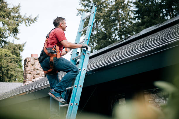 Best Roof Coating and Sealing  in Muskegon Heights, MI